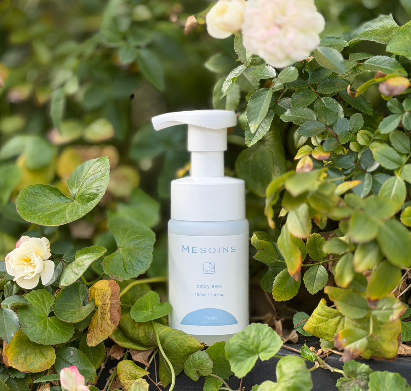 お知らせ – MESOINS